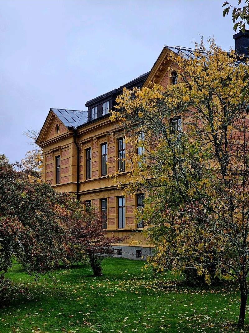 Tilpasset spesialundervisning